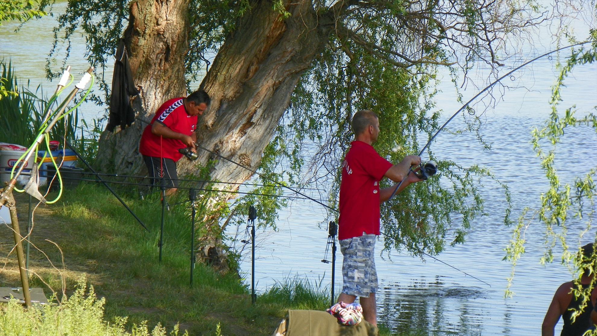 Crapmania - 2011 - 1001045.JPG